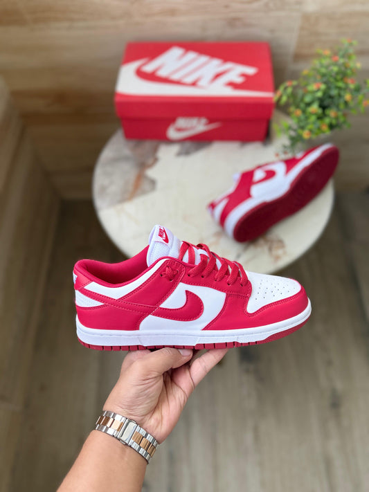 NIKE SB DUNK GYM RED
