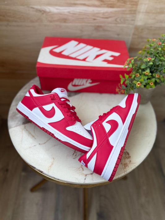NIKE SB DUNK GYM RED